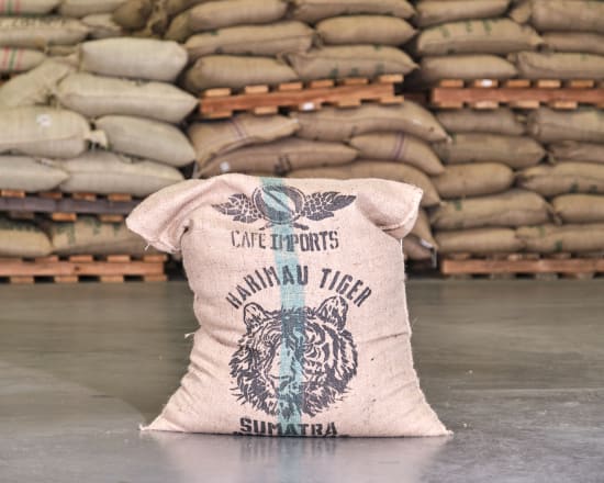 Sumatra Harimau Tiger