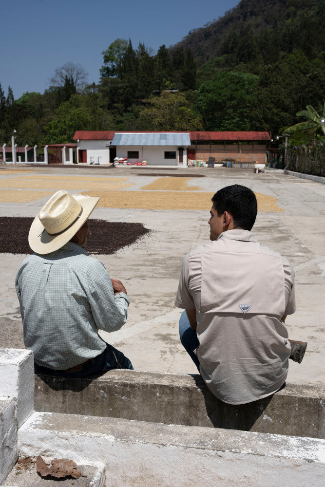 Guatemala Finca la Bolsa