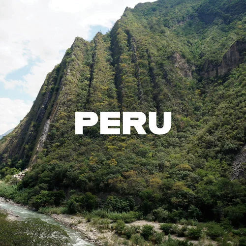 Peru Finca Churupampa